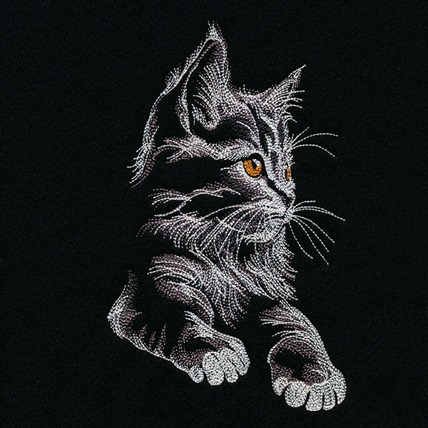 Majestic Gaze Kitten - Image 5