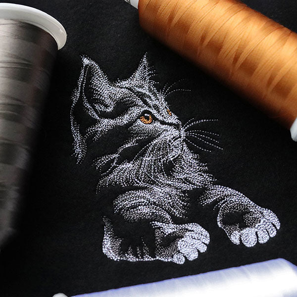 Majestic Gaze Kitten - Image 8