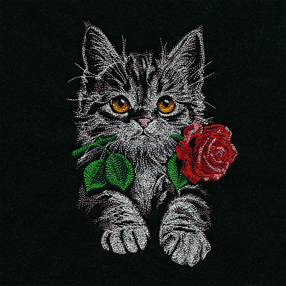 Majestic Rose Kitten - Image 4