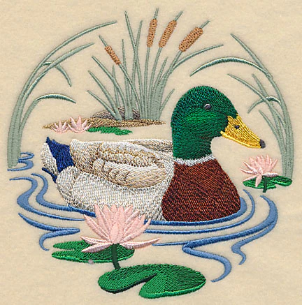 Mallard Duck Scene - Image 4