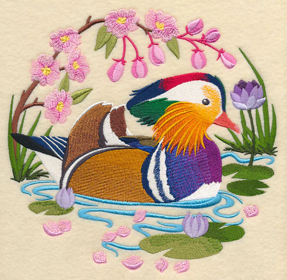 Mandarin Duck Scene - Image 2