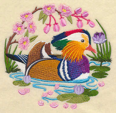 Mandarin Duck Scene - Image 5