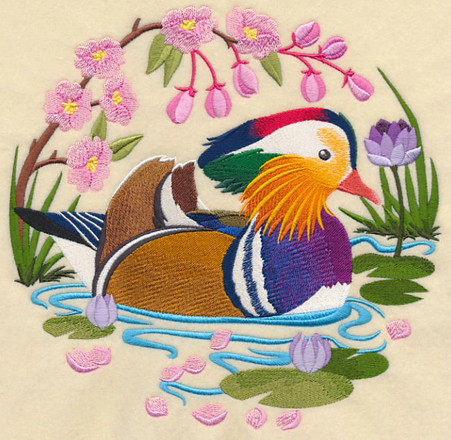 Mandarin Duck Scene - Image 6