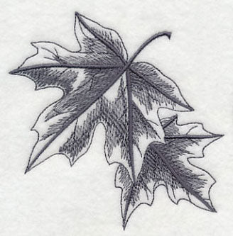 Maple Leaf - Image 3
