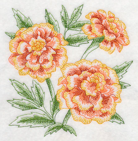 Marigold Sketch - Image 3