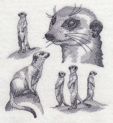 Meerkat Sketch - Image 3