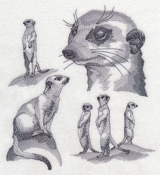 Meerkat Sketch - Image 4
