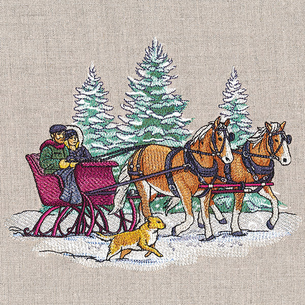 Memorable Winter Sleigh Ride - Image 2