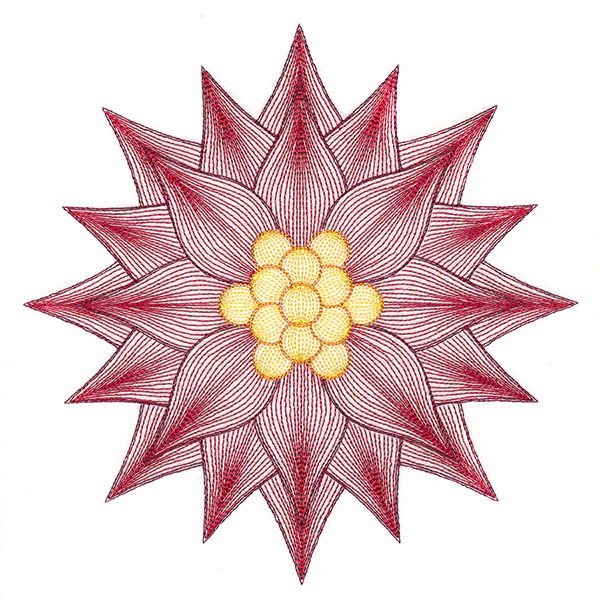 Mesmerizing Poinsettia