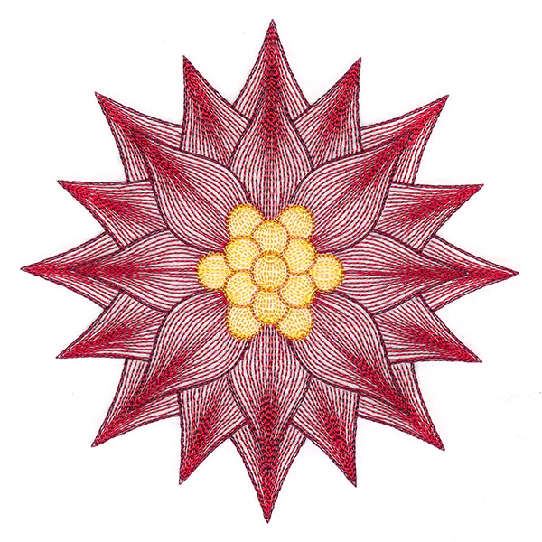 Mesmerizing Poinsettia - Image 5