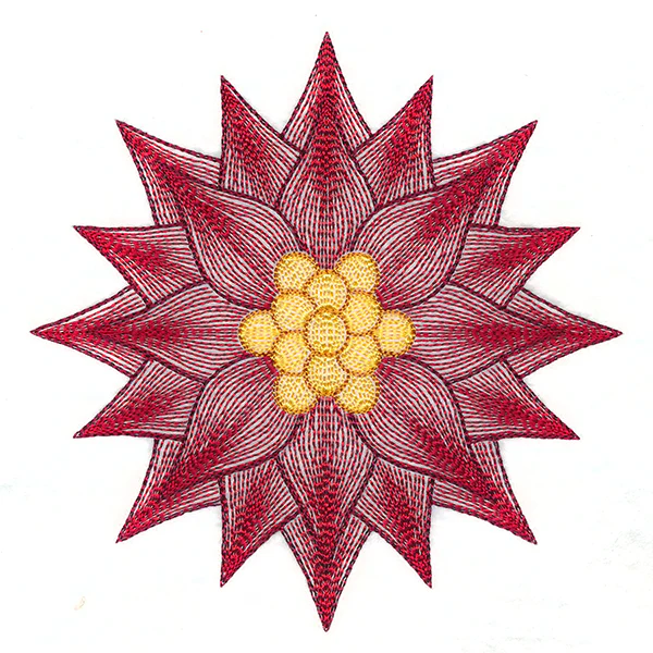 Mesmerizing Poinsettia - Image 7