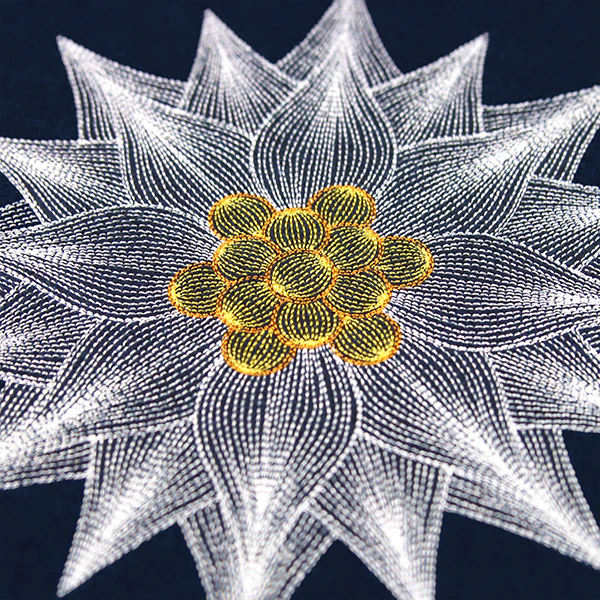 Mesmerizing Poinsettia - Image 8