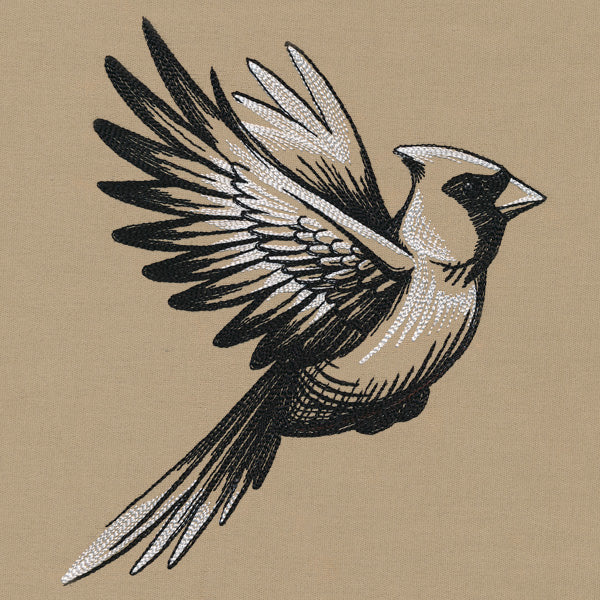 Midtone Cardinal Sketch - Image 2