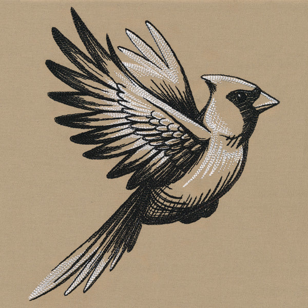 Midtone Cardinal Sketch - Image 4