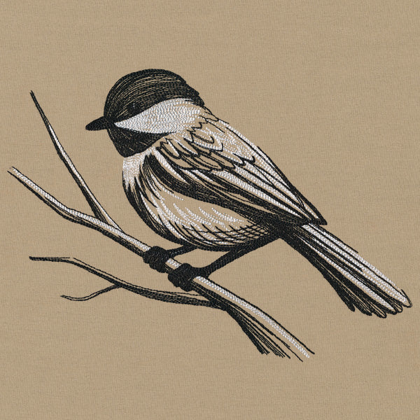 Midtone Chickadee Sketch - Image 3