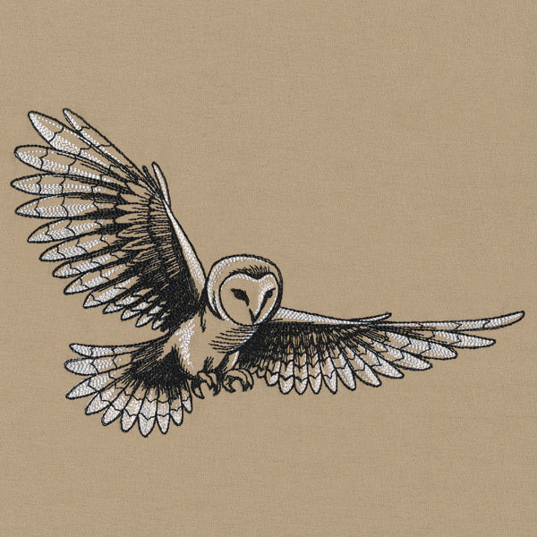 Midtone Owl Sketch - Image 2