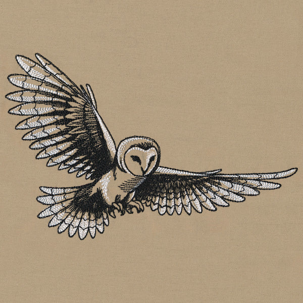 Midtone Owl Sketch - Image 3