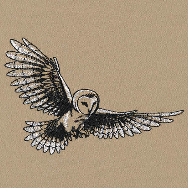 Midtone Owl Sketch - Image 4