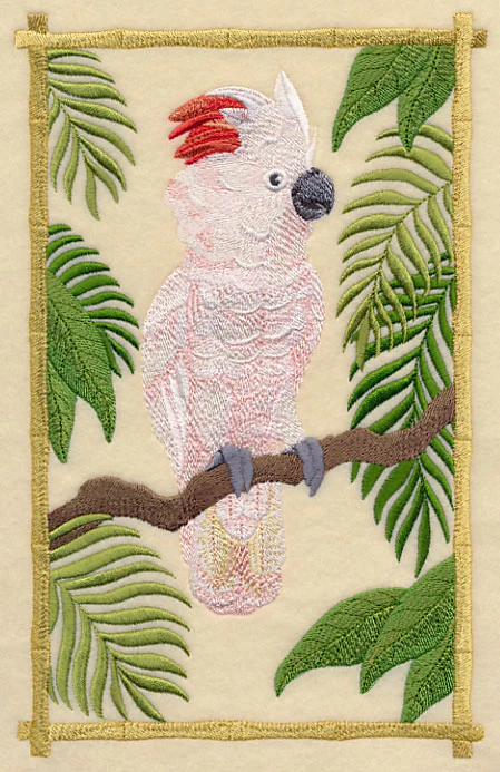 Moluccan Cockatoo in the Tropics - Image 2