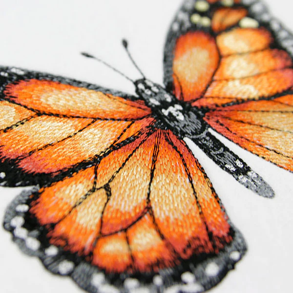 Monarch Specimen - Image 4