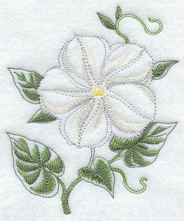 Moonflower Beauty - Image 4