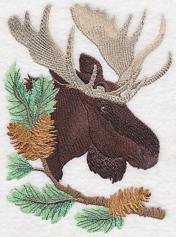 Moose in Pine - Image 3