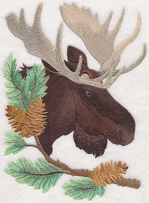 Moose in Pine - Image 4