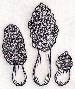 Morel Mushroom Etching - Image 5