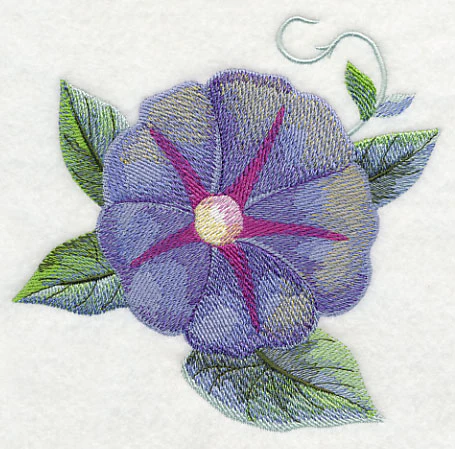 Morning Glory Bloom in Watercolor - Image 4