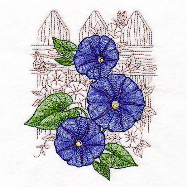 Morning Glory Echo - Image 3
