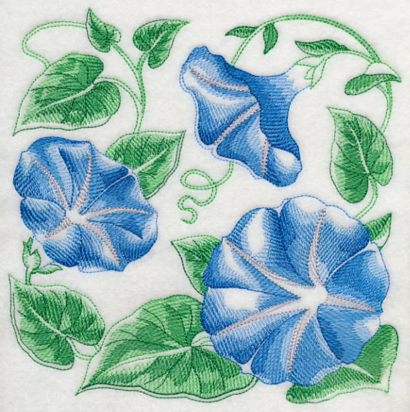 Morning Glory Sketch - Image 6
