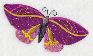 Moth Masquerade 4