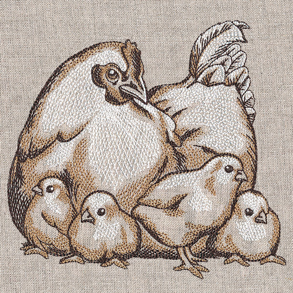 Mother Hen and Chicks Etching - Image 5