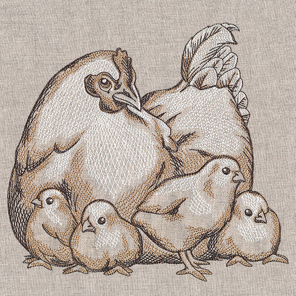 Mother Hen and Chicks Etching - Image 7