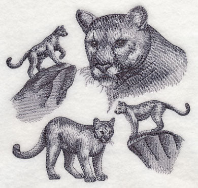 Mountain Lion Sketch - Image 4