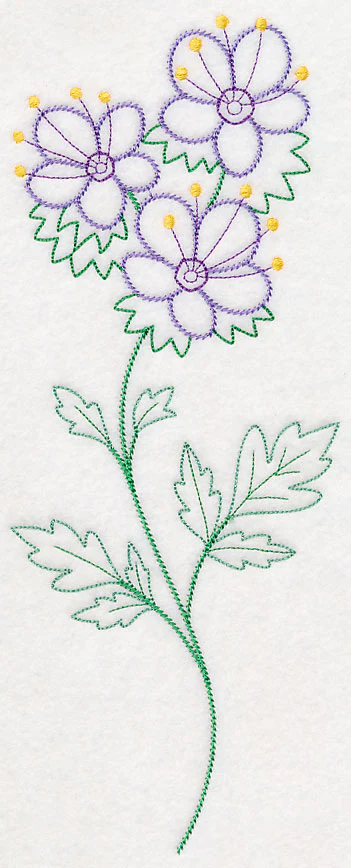 Mountain Phacelia (Vintage) - Image 5