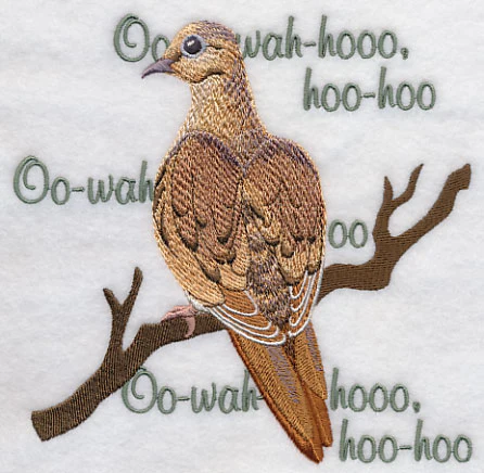 Mourning Dove Song - Image 5