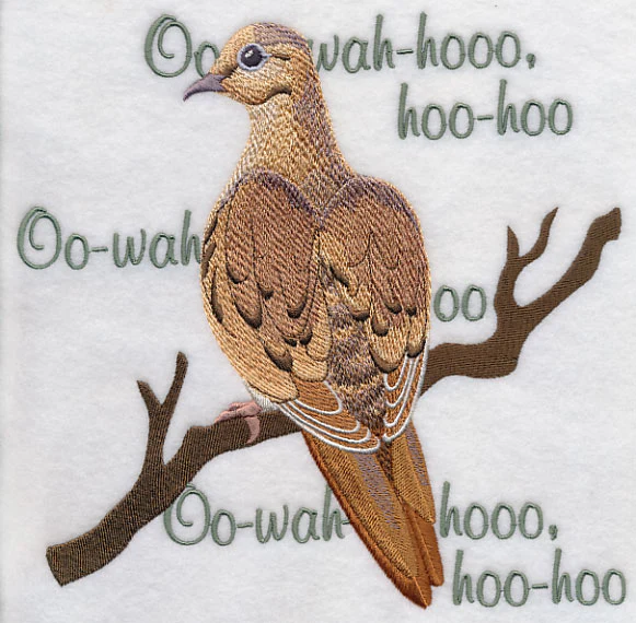 Mourning Dove Song - Image 6