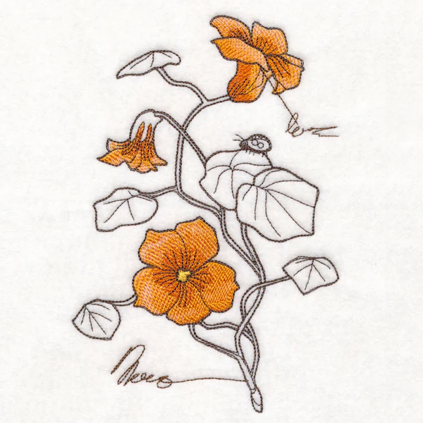 Nasturtium Botanicals - Image 3