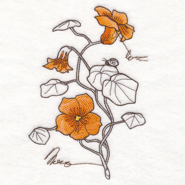 Nasturtium Botanicals - Image 4