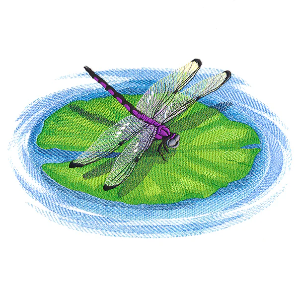 Nature's Walk Dragonfly - Image 3