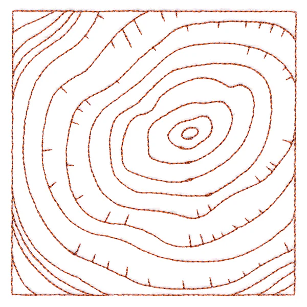 Nature's Wonders - Tree Rings (Double Run) - Image 5