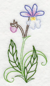 Nemesia (Vintage) - Image 4
