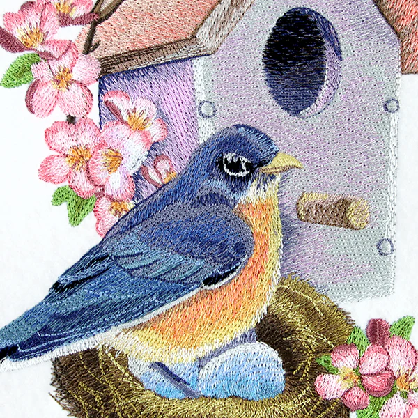 Nesting Bluebird in Spring - Image 2