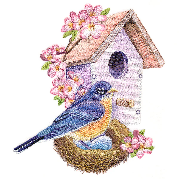Nesting Bluebird in Spring - Image 3