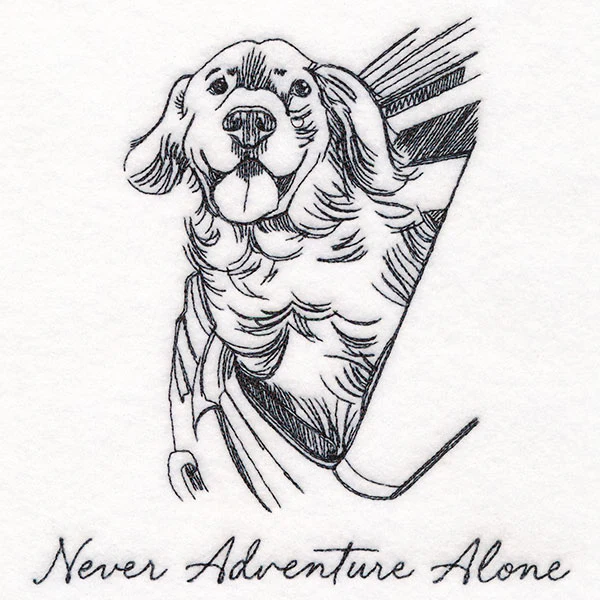 Never Adventure Alone Dog - Image 3