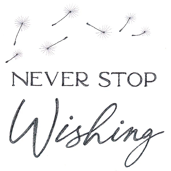 Never Stop Wishing - Image 2