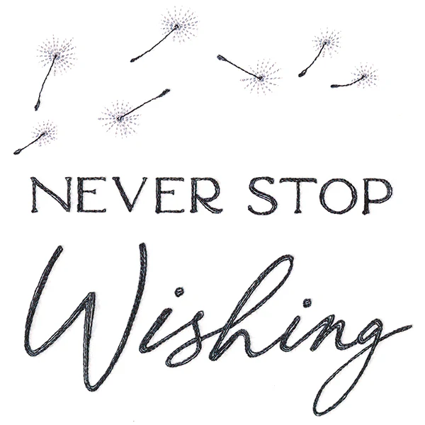 Never Stop Wishing - Image 3