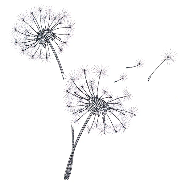 Never Stop Wishing Bouquet