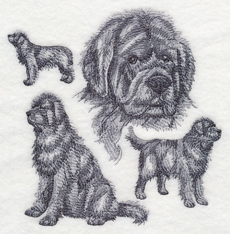 Newfoundland Sketch - Image 3